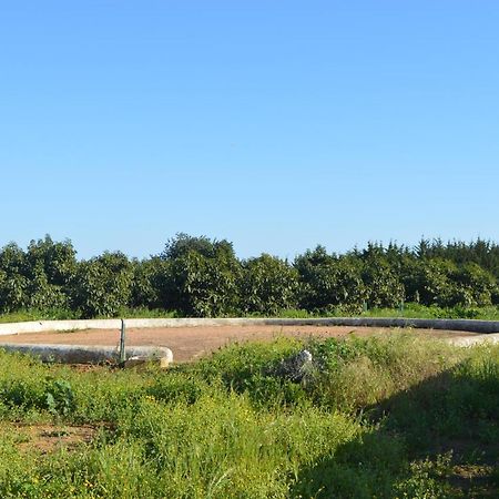 Quinta Das Figueiras Vila Nova de Cacela Zewnętrze zdjęcie