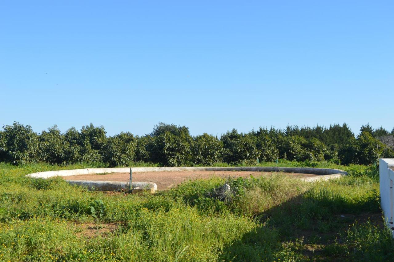 Quinta Das Figueiras Vila Nova de Cacela Zewnętrze zdjęcie